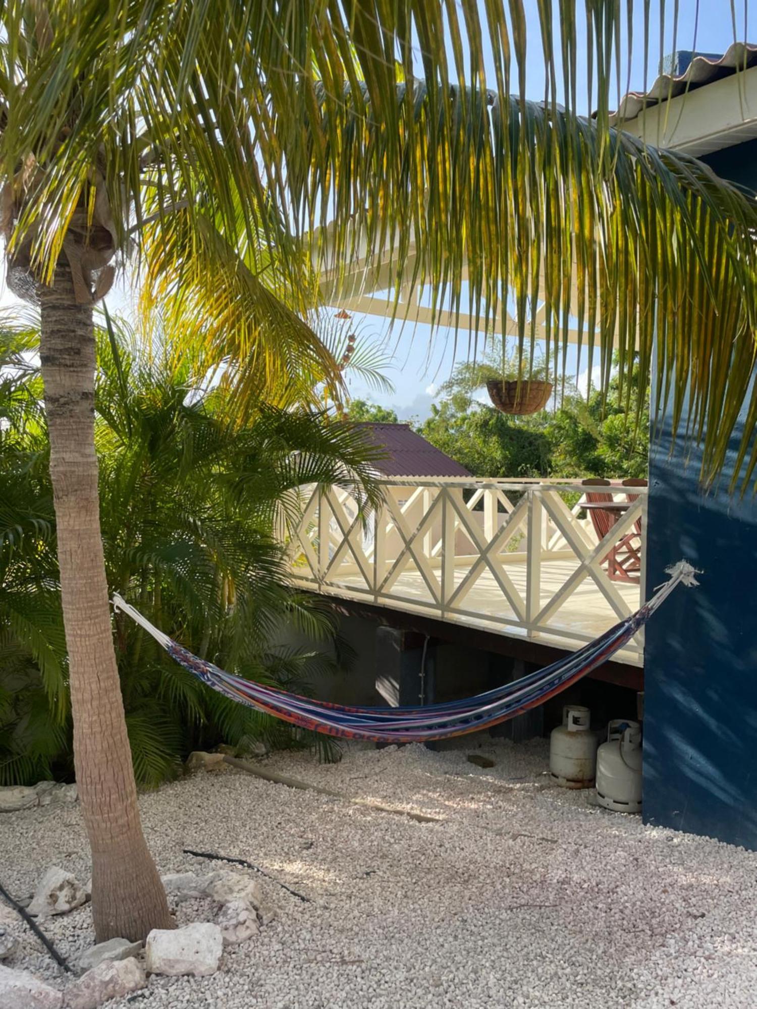 Mini Resort Kaya Verdi Willemstad Exterior photo