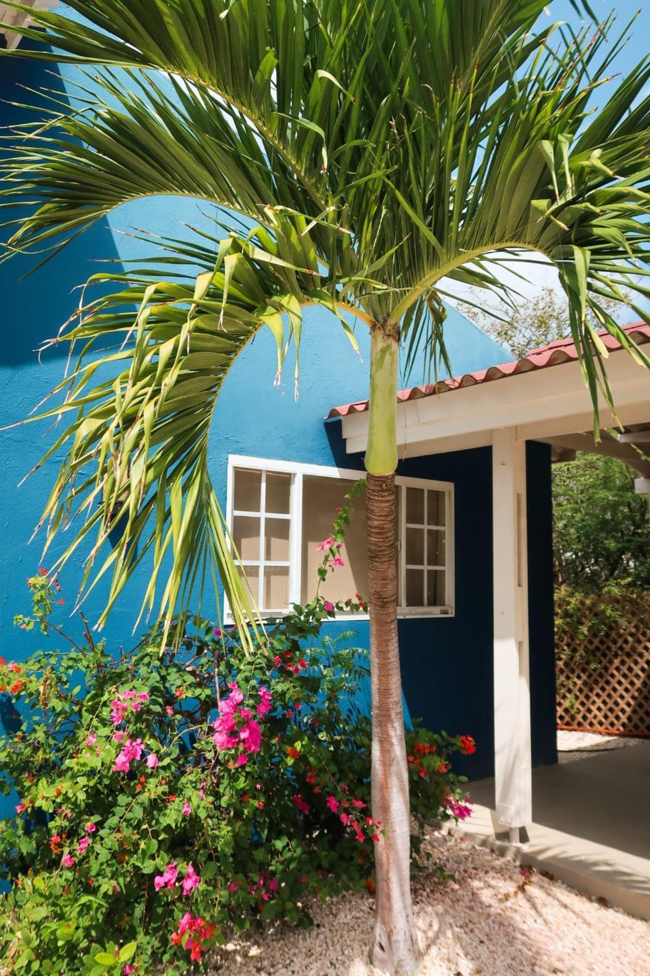 Mini Resort Kaya Verdi Willemstad Exterior photo